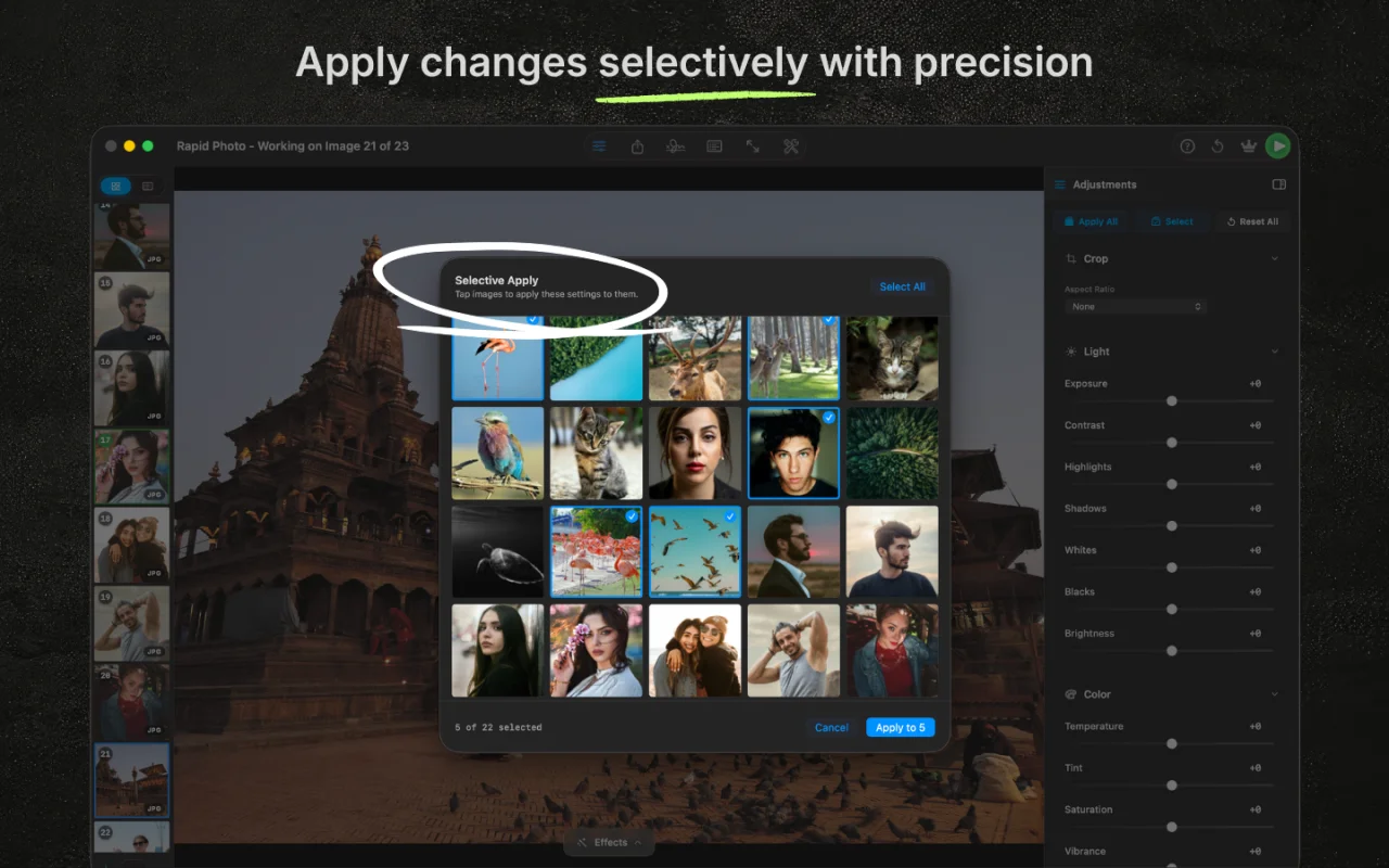 RapidPhoto selective apply grid for choosing which photos receive edits