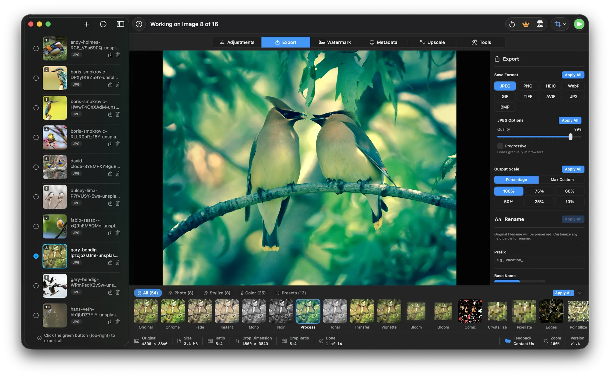 RapidPhoto export panel showing format options including WebP, HEIC and JPEG