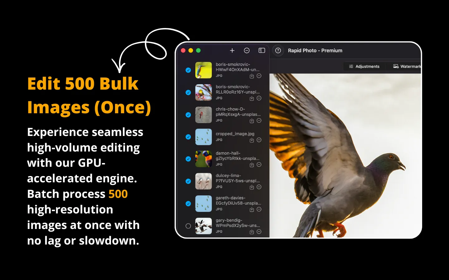 RapidPhoto batch editing interface showing 500 images imported for bulk processing