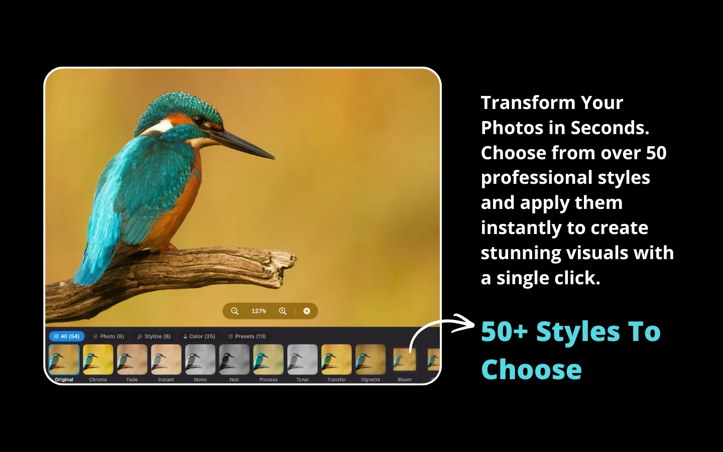 RapidPhoto effects panel with 100+ professional presets including film emulations applied to a photo